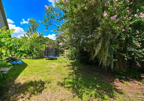 4517 Wild Plum Lane Lutz FL 33558