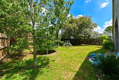 4517 Wild Plum Lane Lutz FL 33558