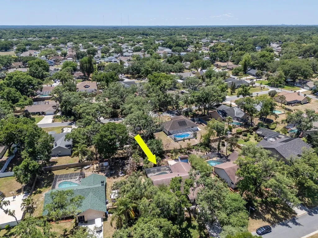 2763 Buckhorn Oaks Drive Valrico FL 33594