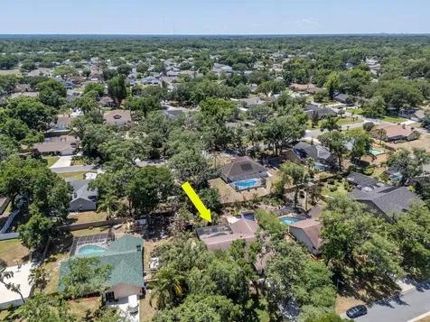 2763 Buckhorn Oaks Drive Valrico FL 33594