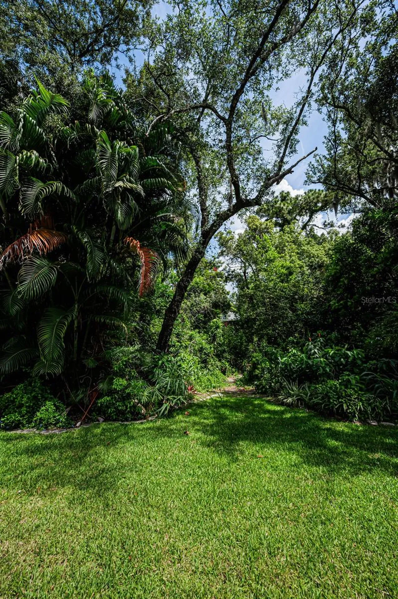 1680 Sparkling Court Dunedin FL 34698