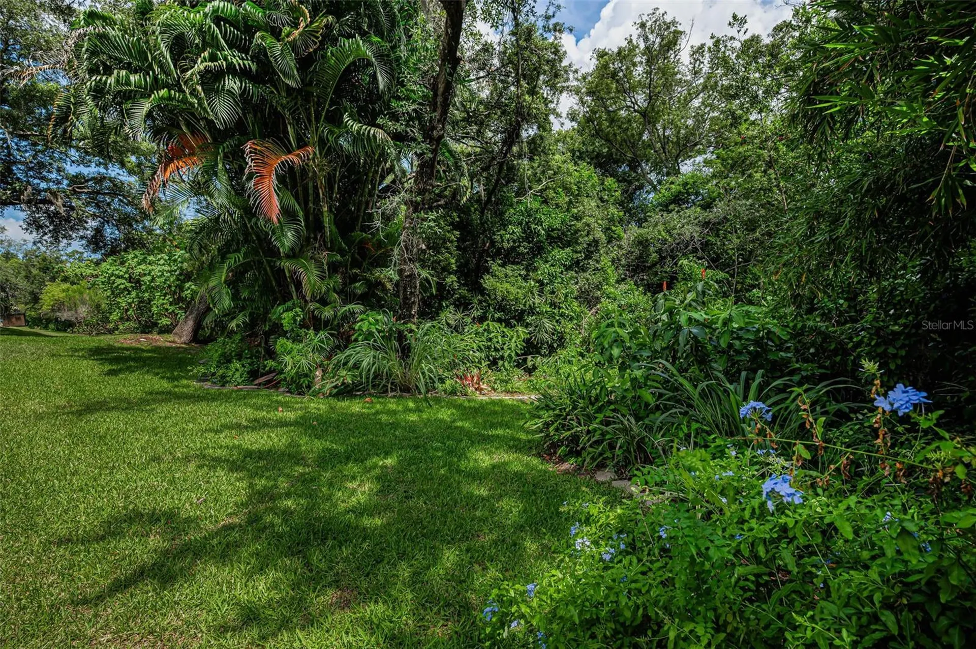1680 Sparkling Court Dunedin FL 34698
