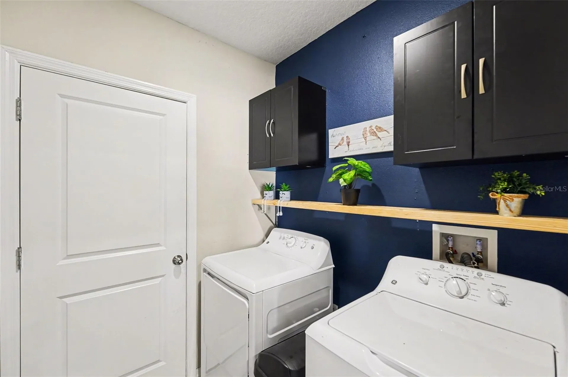 882 Olive Conch Street Ruskin FL 33570