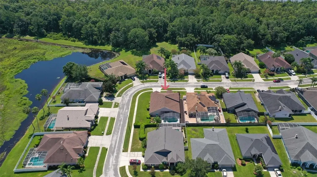 10020 Cypress Shadow Avenue Tampa FL 33647