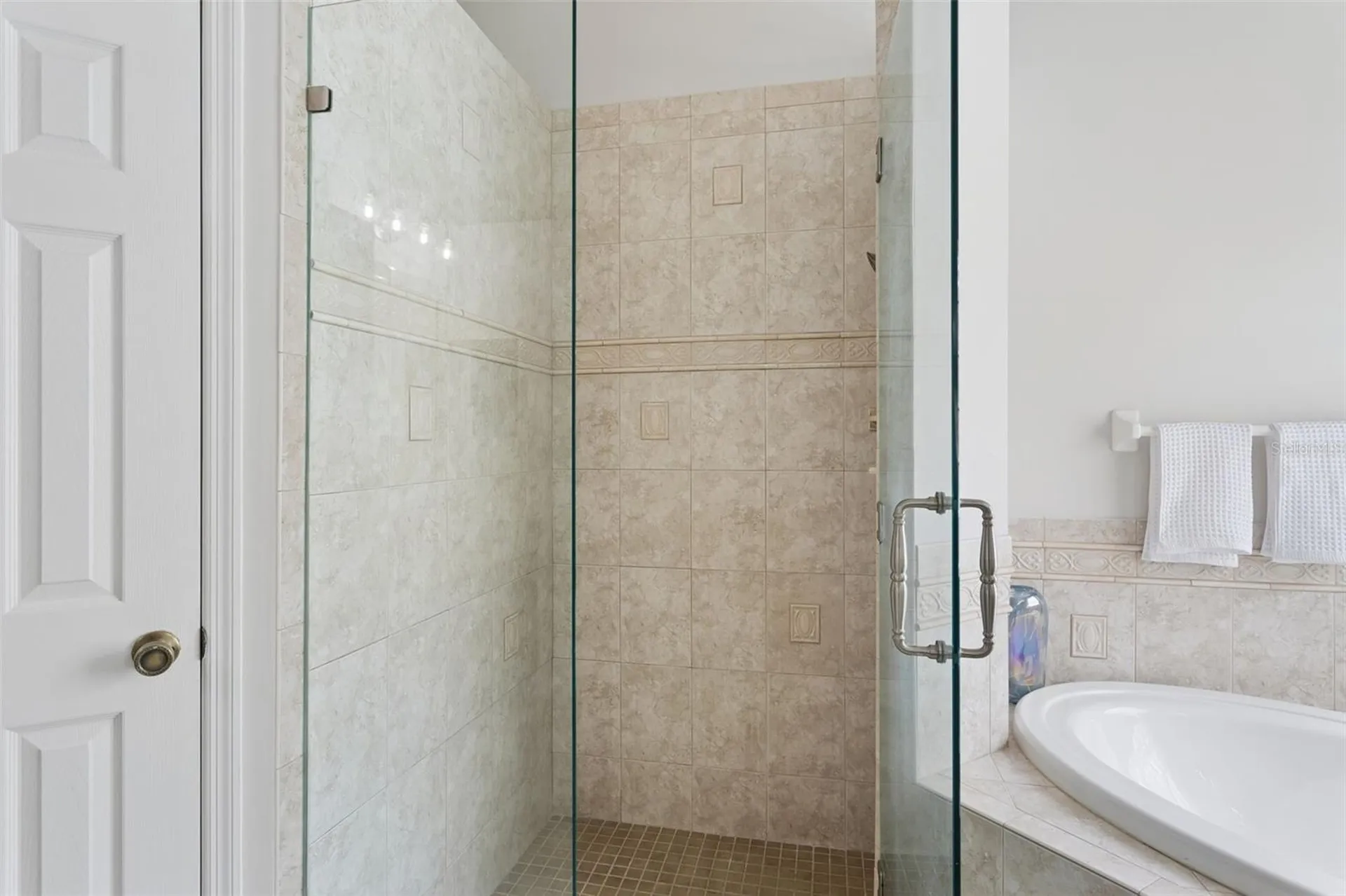 10020 Cypress Shadow Avenue Tampa FL 33647