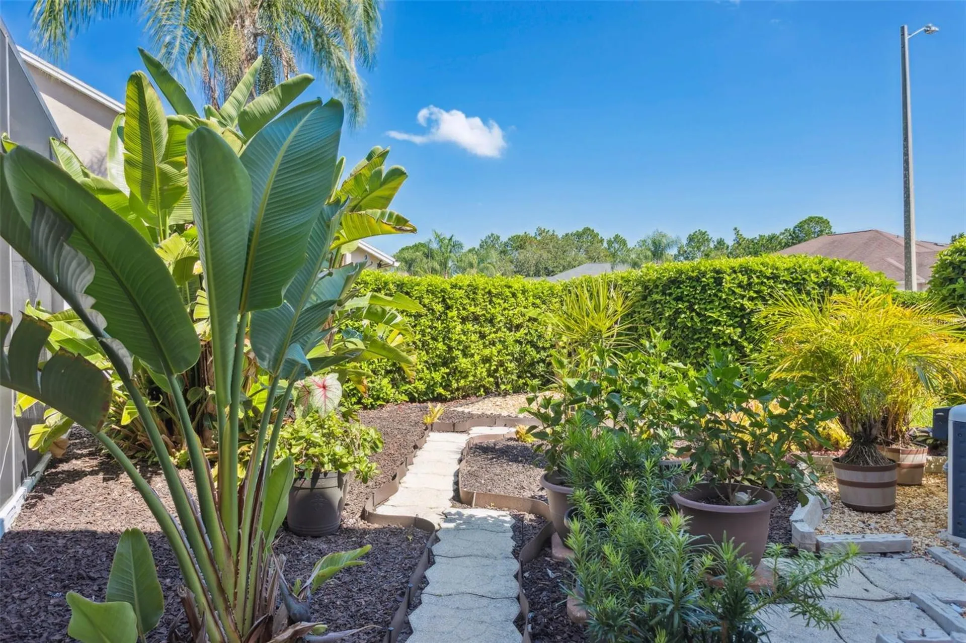 10020 Cypress Shadow Avenue Tampa FL 33647