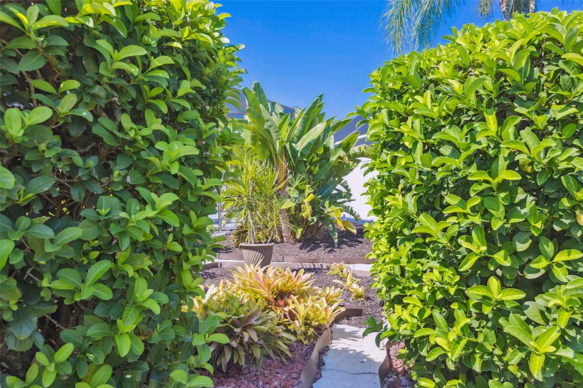 10020 Cypress Shadow Avenue Tampa FL 33647
