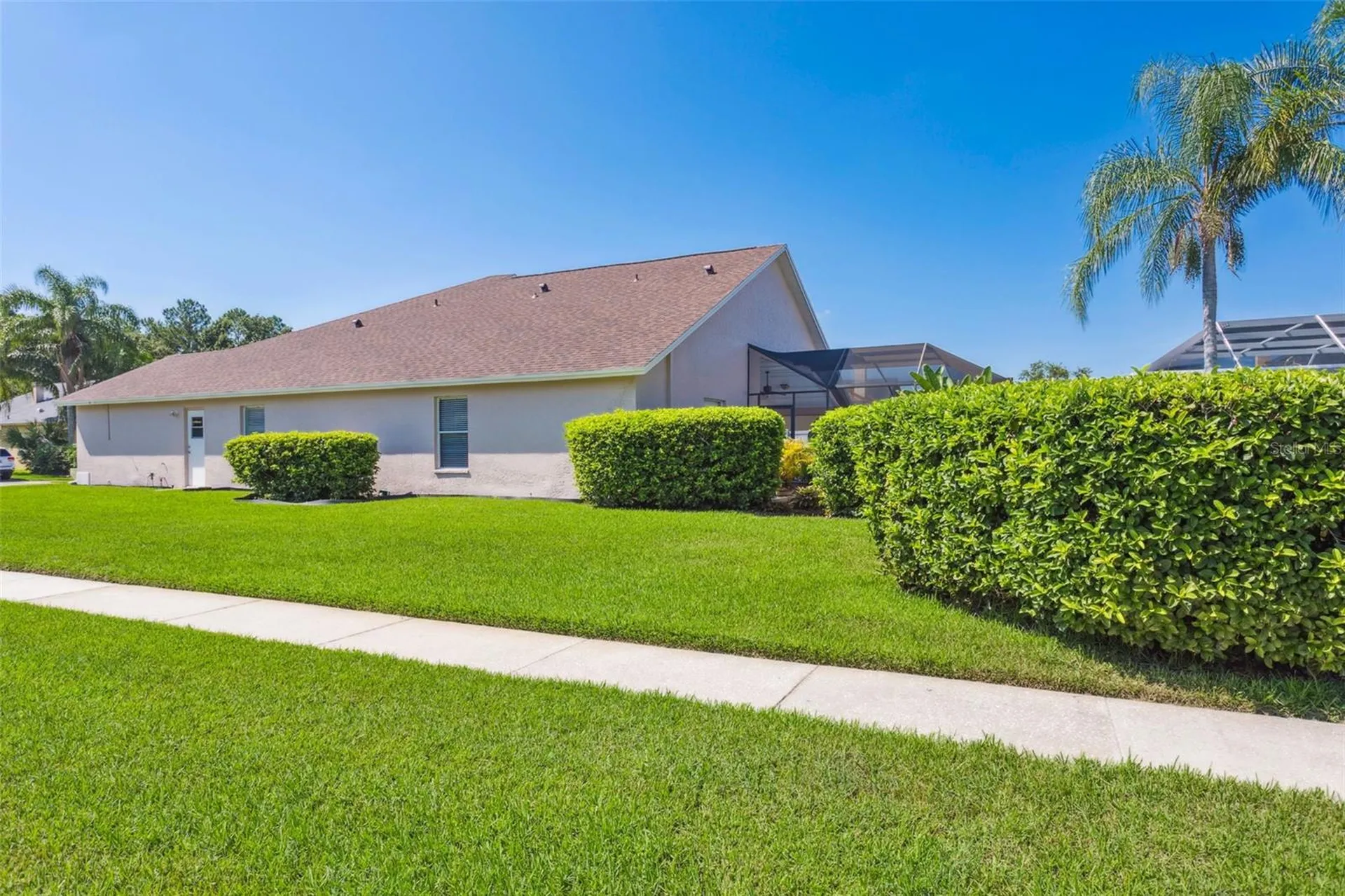 10020 Cypress Shadow Avenue Tampa FL 33647