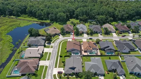 10020 Cypress Shadow Avenue Tampa FL 33647