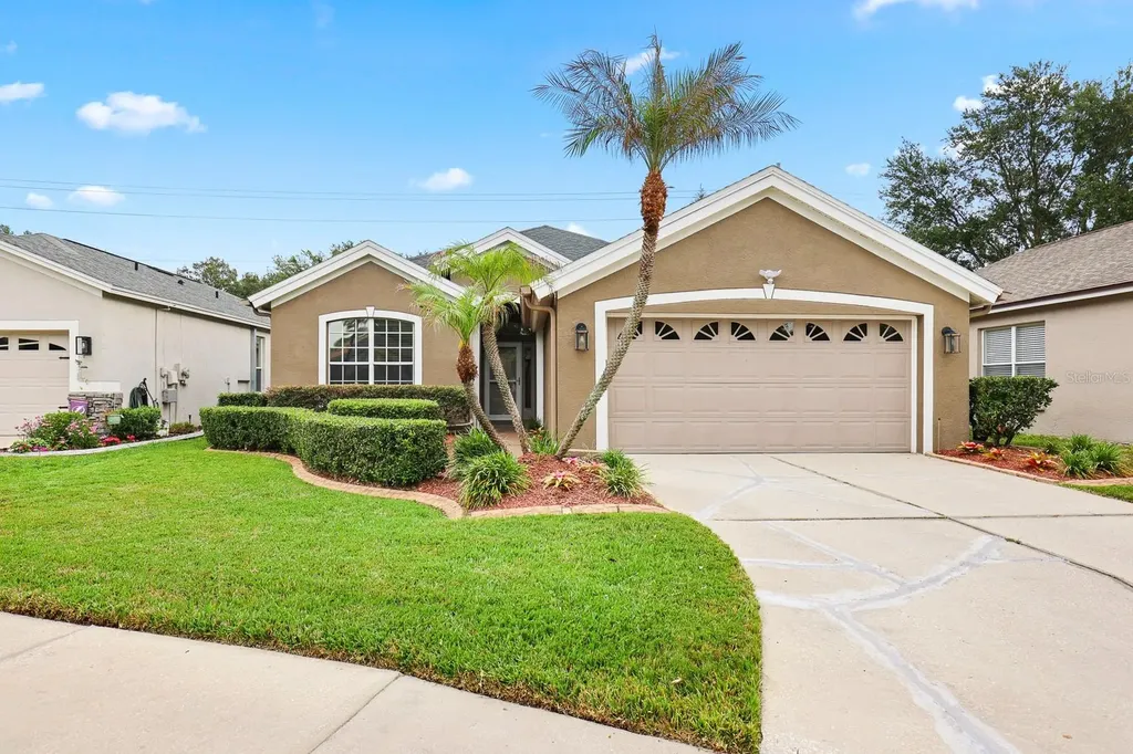5656 Rockfield Loop Valrico FL 33596