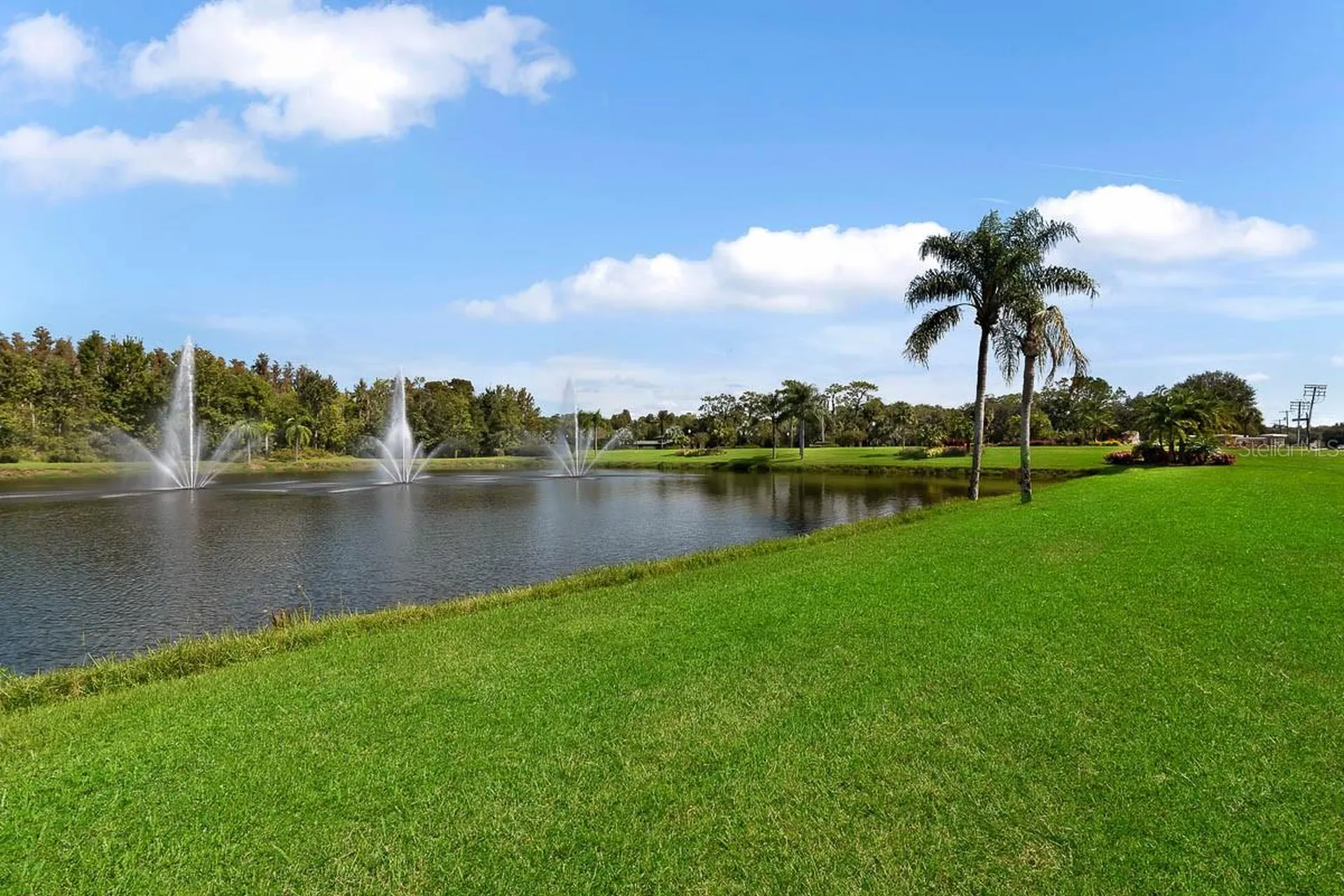 5656 Rockfield Loop Valrico FL 33596