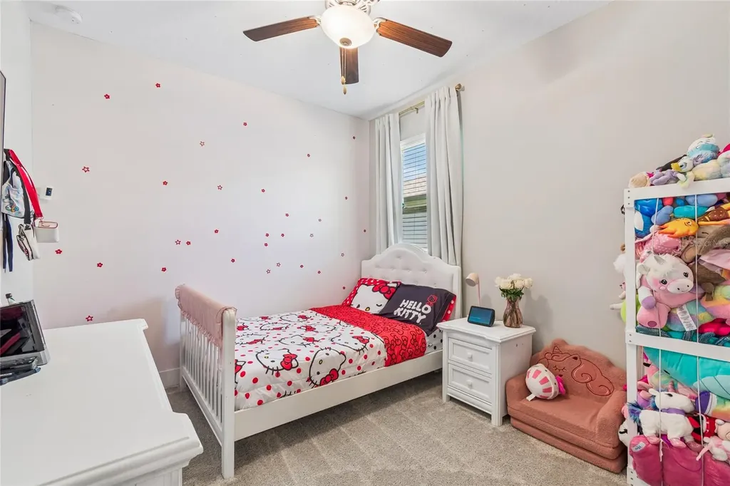 9911 Campanula Court Land O Lakes FL 34637