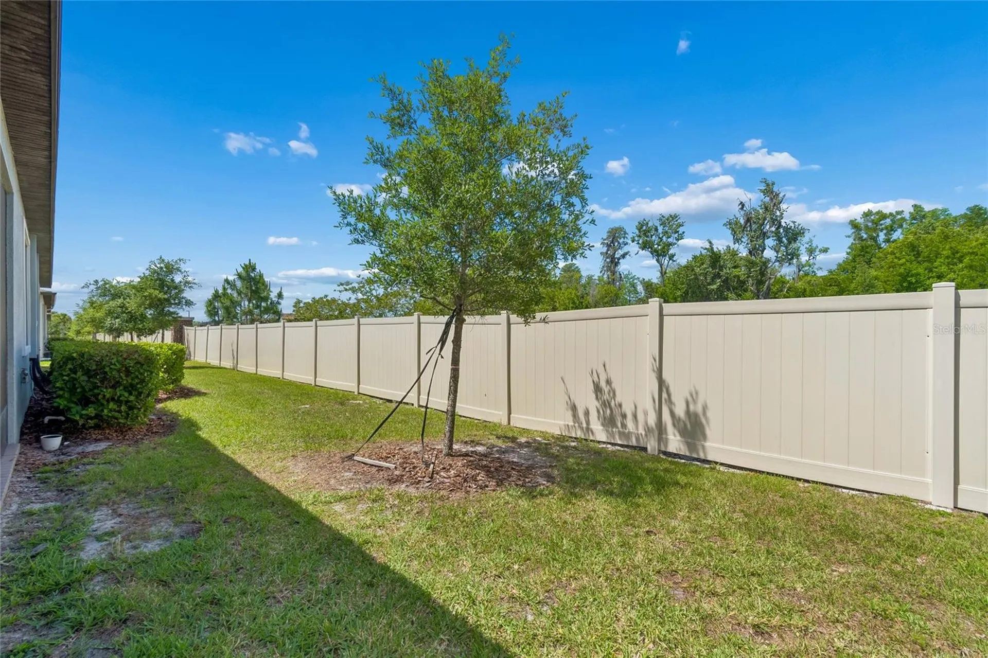 9911 Campanula Court Land O Lakes FL 34637