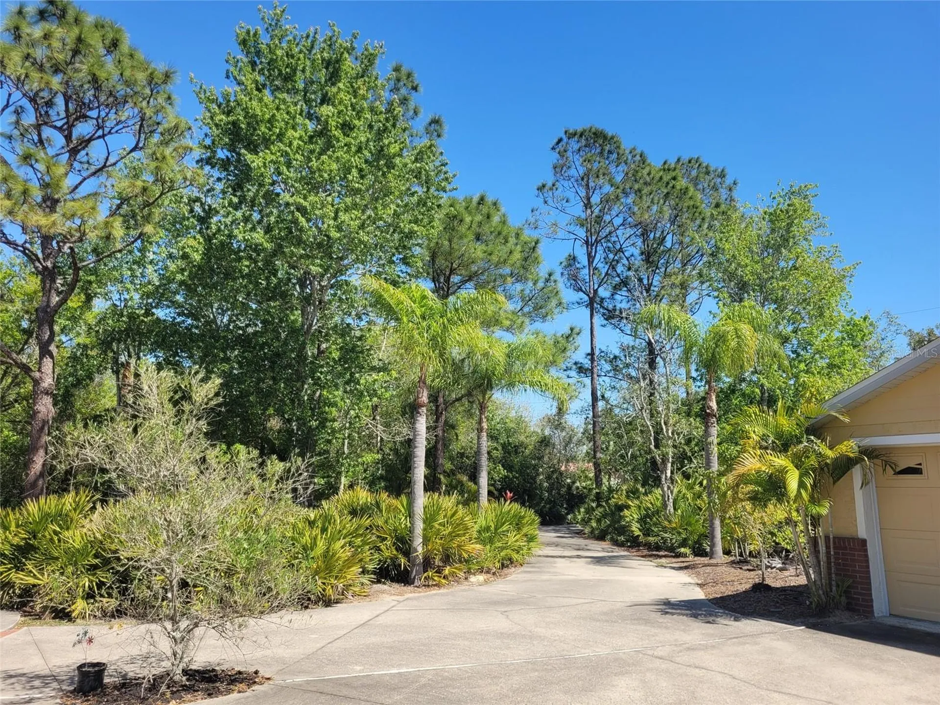 3150 Appaloosa Court Kissimmee FL 34746