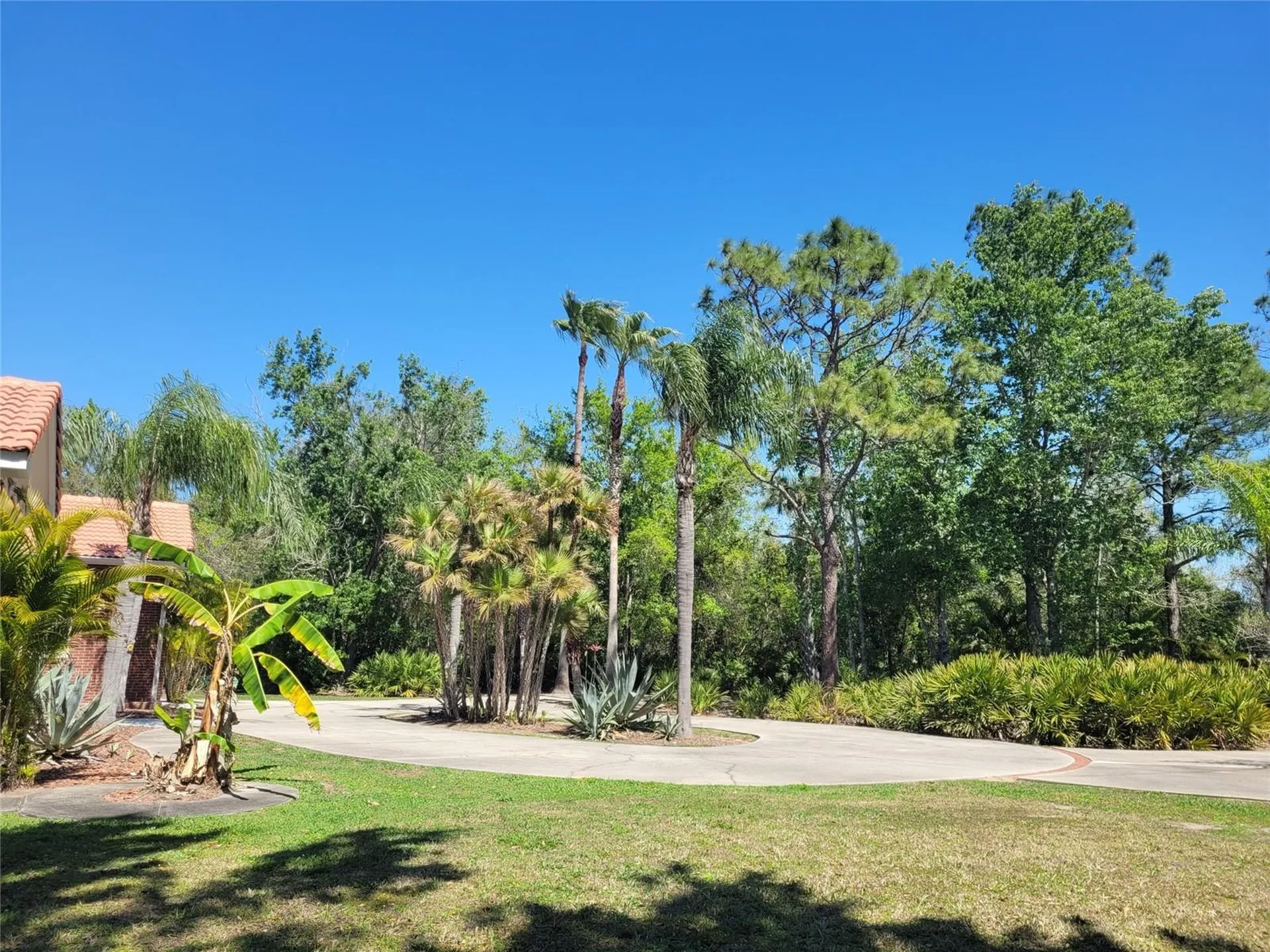 3150 Appaloosa Court Kissimmee FL 34746