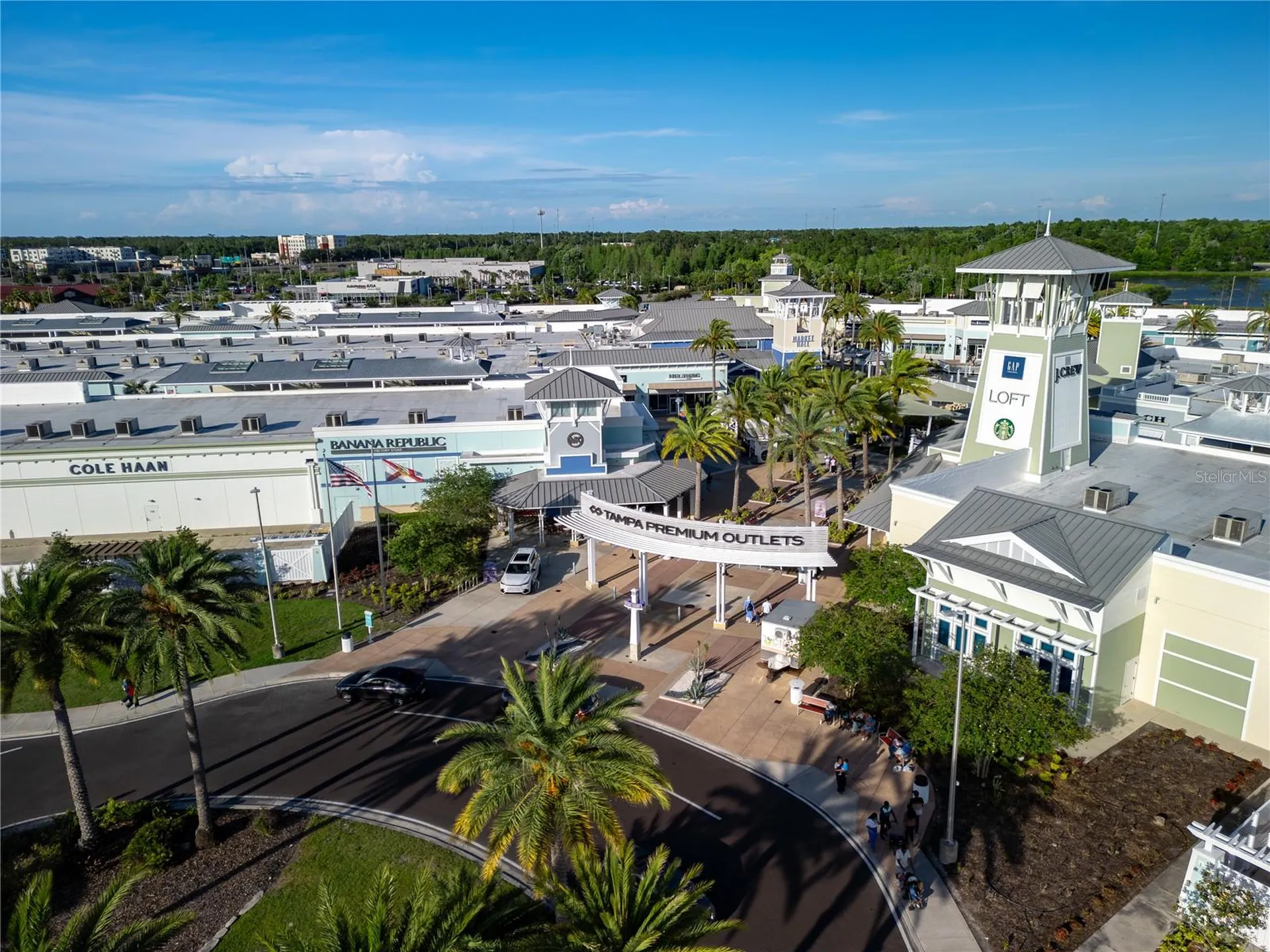 4062 Cloud Hopper Way Lutz FL 33559