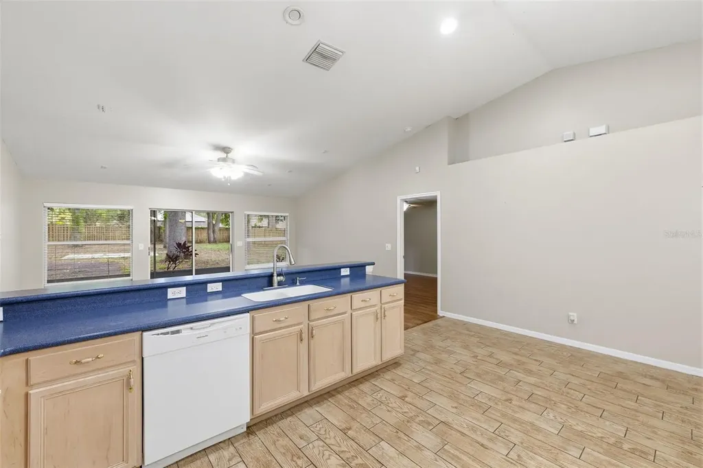 16208 Swenson Terrace Lutz FL 33549