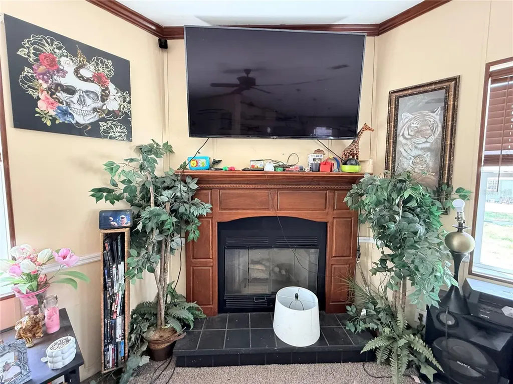 21520 SE 147th Lane Umatilla FL 32784