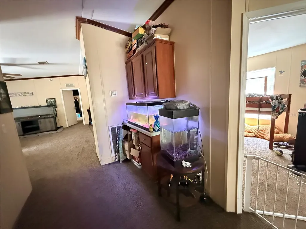 21520 SE 147th Lane Umatilla FL 32784