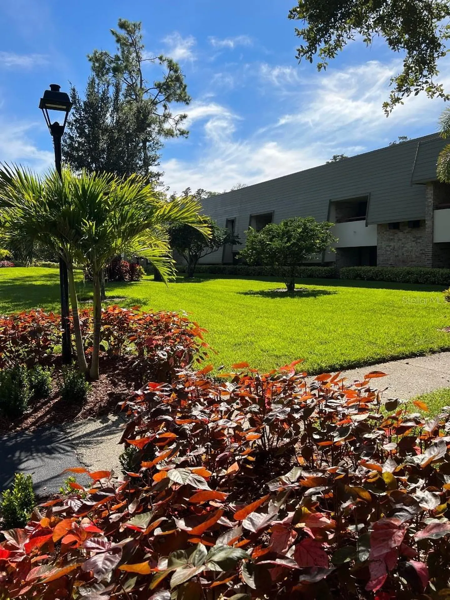 36750 Us Highway 19 N Palm Harbor FL 34683