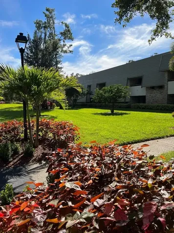 36750 Us Highway 19 N Palm Harbor FL 34683