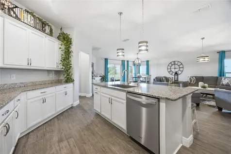 6461 Domenico Court Groveland FL 34736