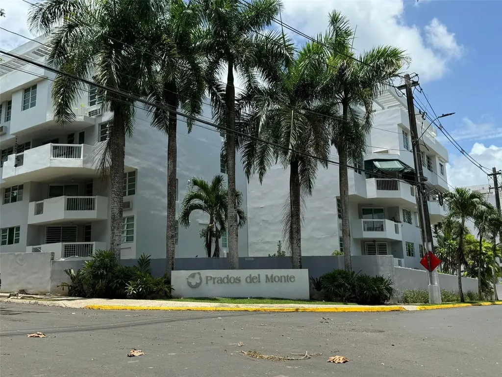 29 Calle Basilio Catala Guaynabo PR 00971