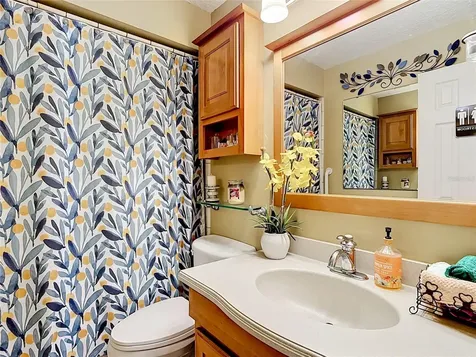 206 Hollywood Court N Kissimmee FL 34743