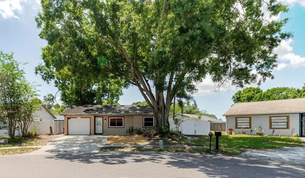 2009 Peppertree Court Oldsmar FL 34677