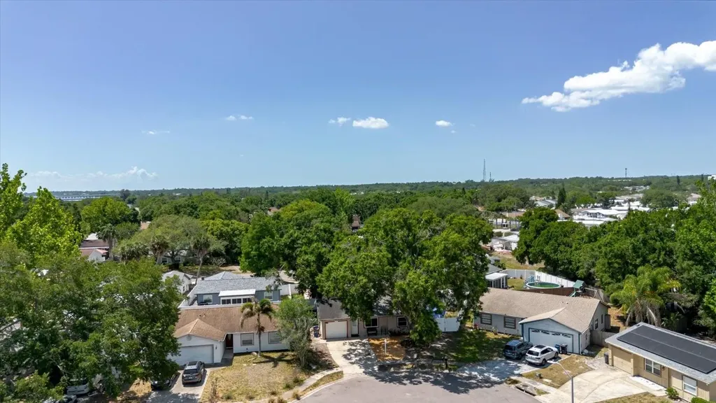 2009 Peppertree Court Oldsmar FL 34677