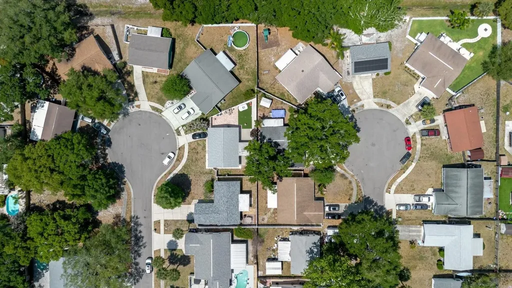 2009 Peppertree Court Oldsmar FL 34677
