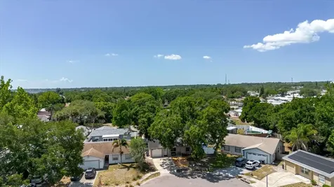 2009 Peppertree Court Oldsmar FL 34677