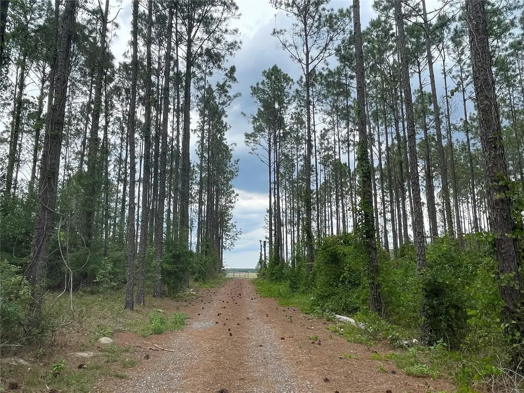 33740 Larkin Road Dade City FL 33523