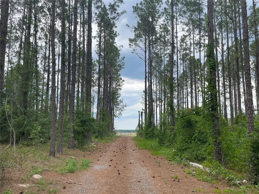 33740 Larkin Road Dade City FL 33523