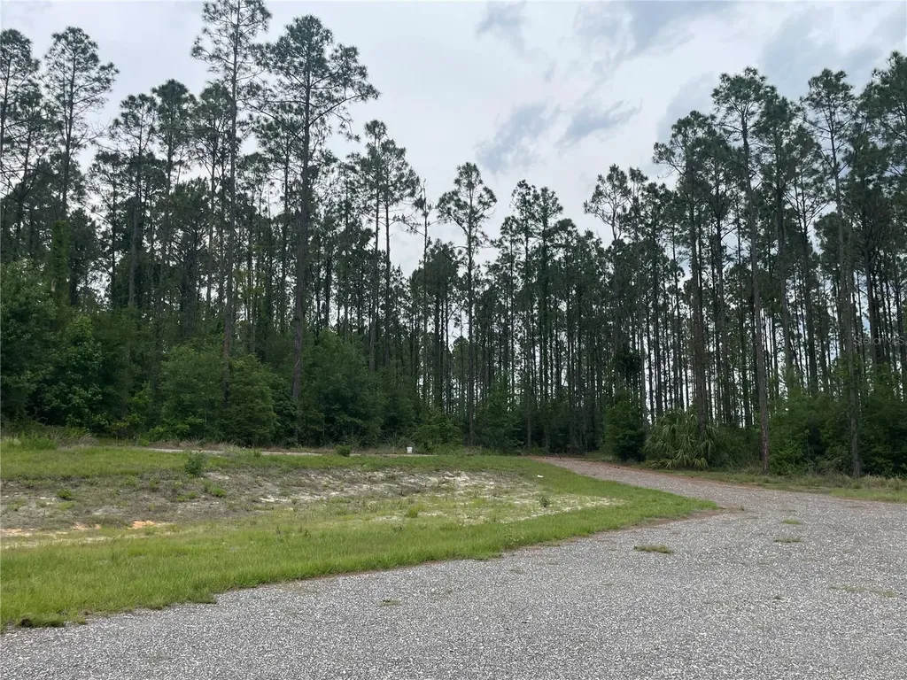 33740 Larkin Road Dade City FL 33523