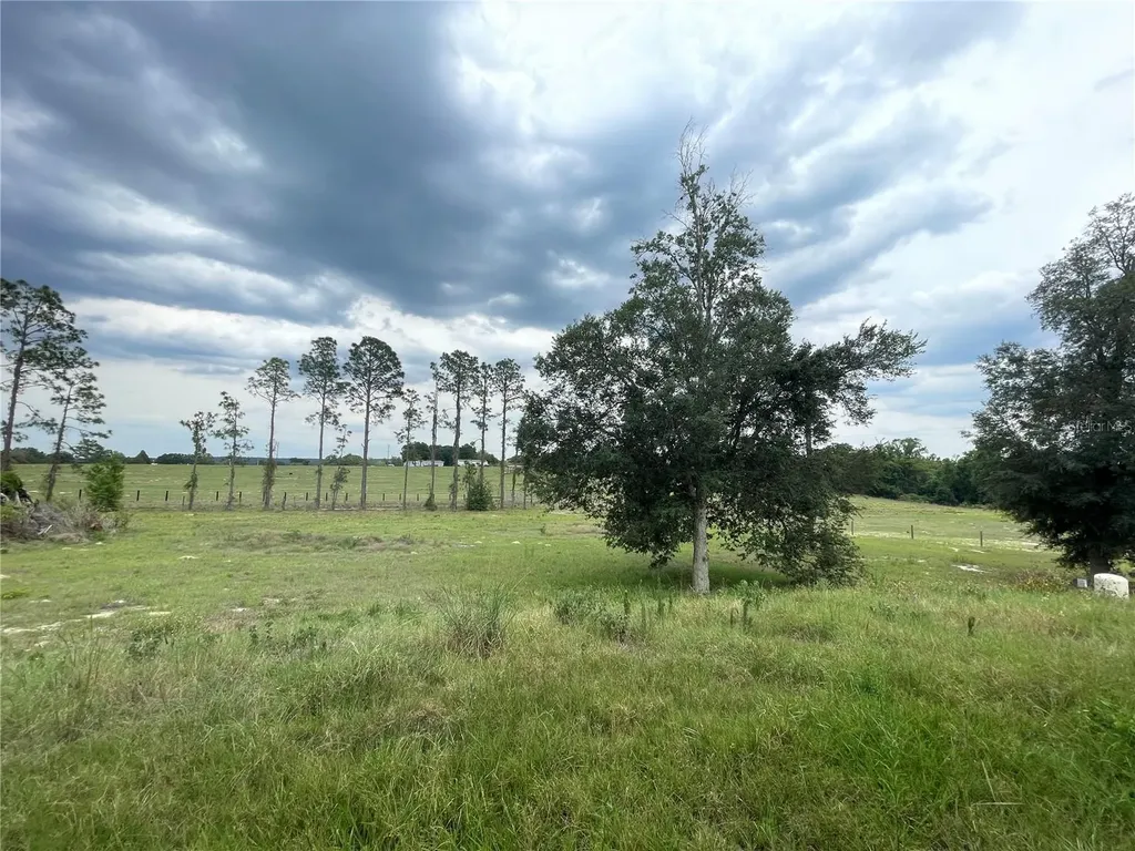 33740 Larkin Road Dade City FL 33523