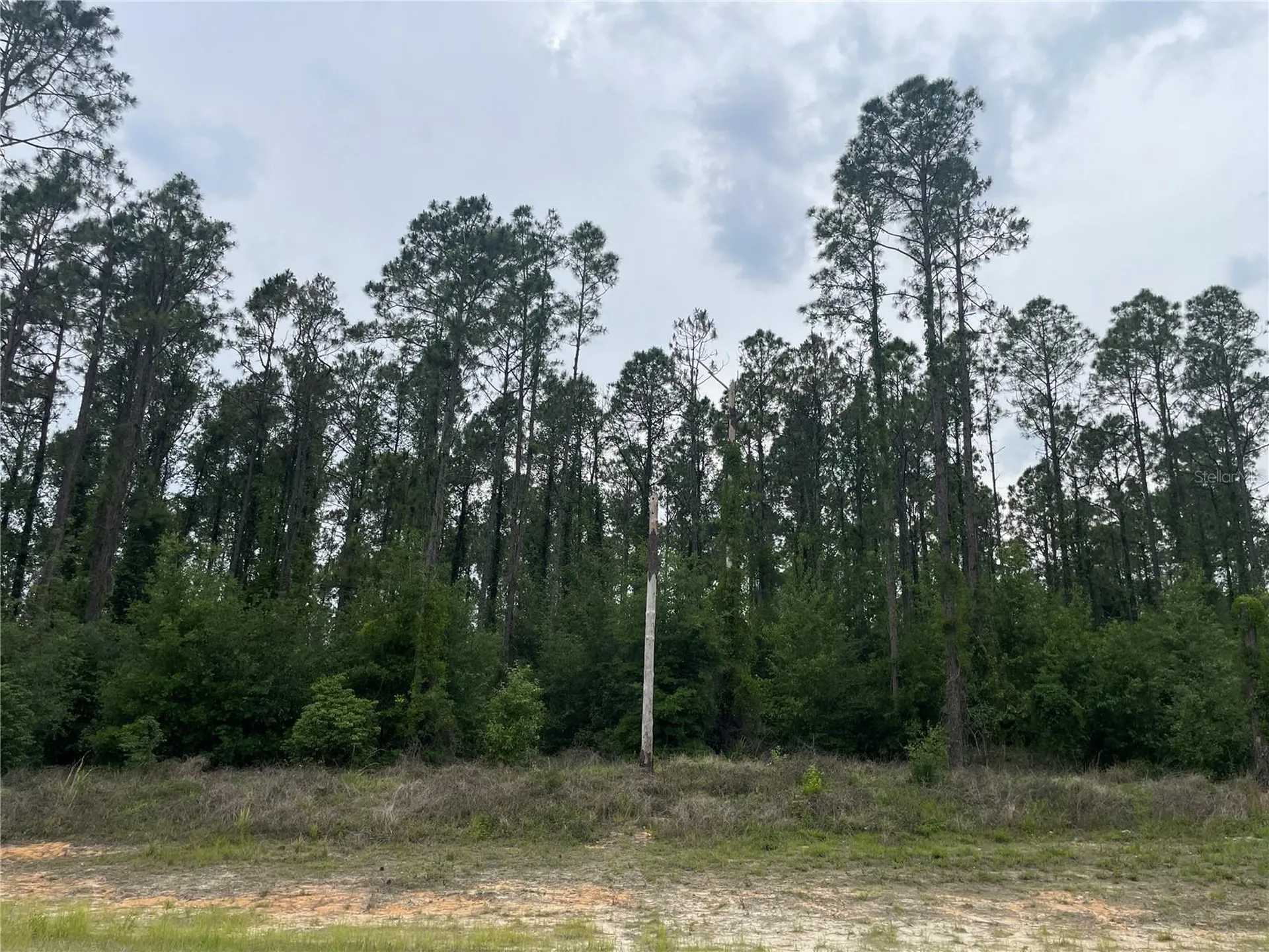 33740 Larkin Road Dade City FL 33523