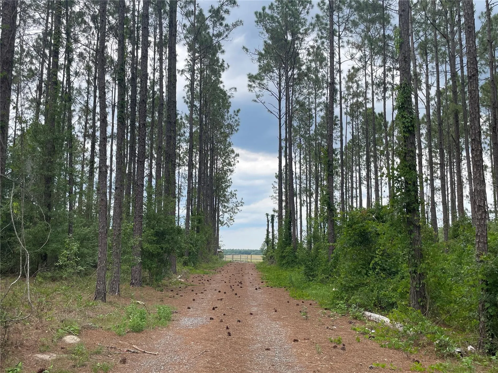 33740 Larkin Road Dade City FL 33523
