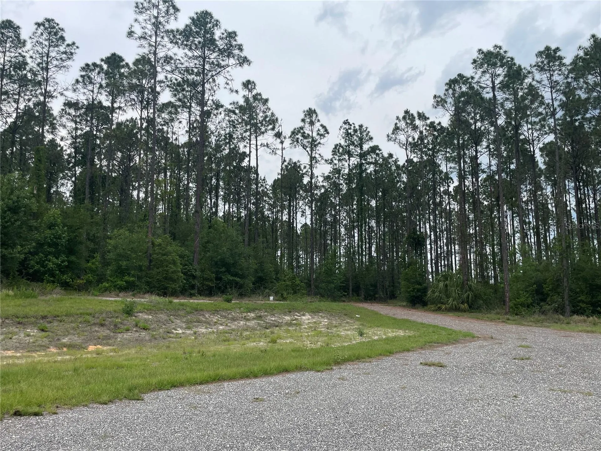 33740 Larkin Road Dade City FL 33523