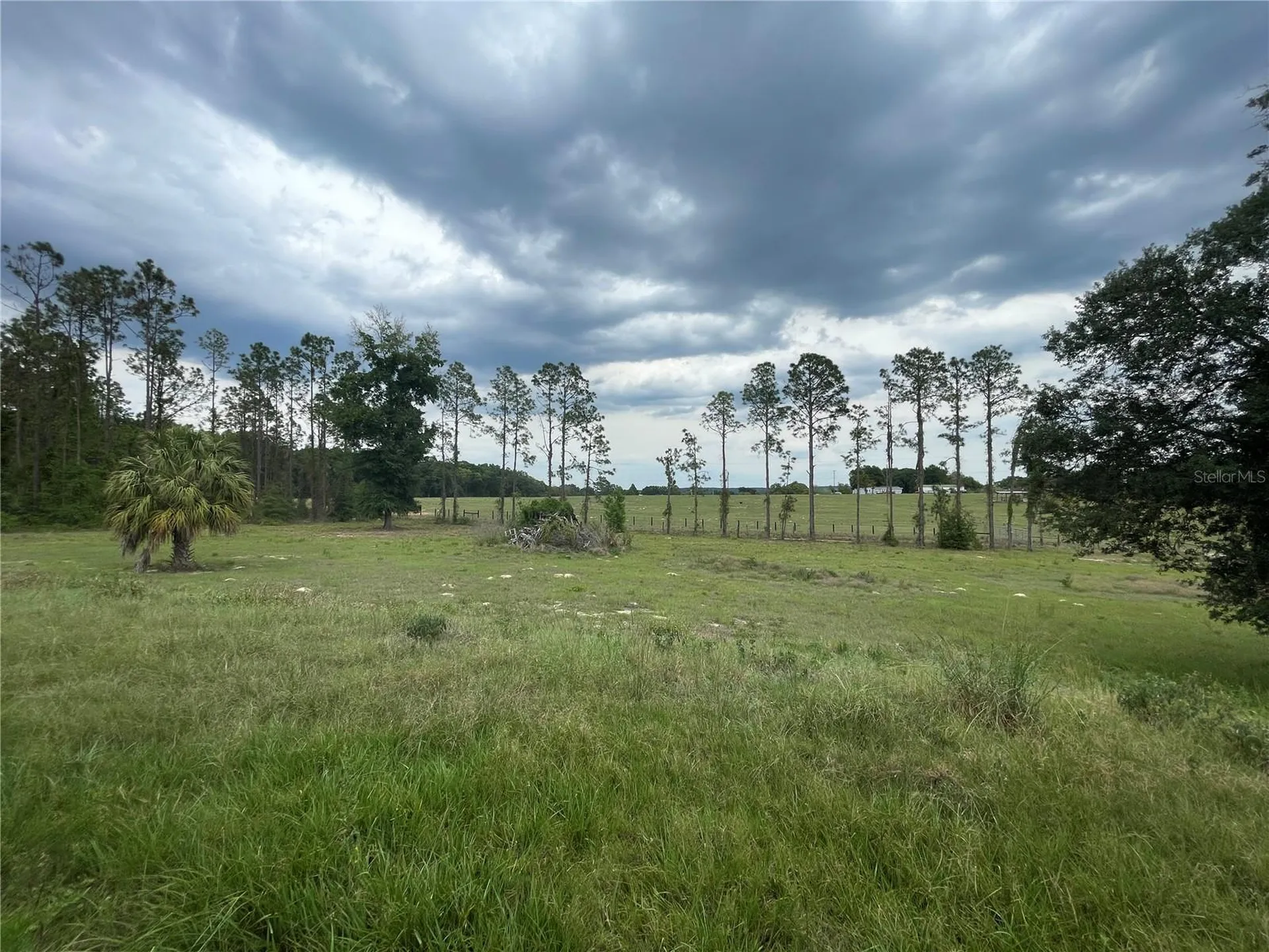 33740 Larkin Road Dade City FL 33523