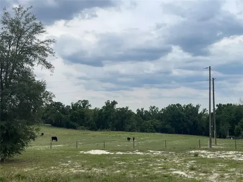 33740 Larkin Road Dade City FL 33523