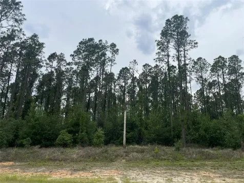 33740 Larkin Road Dade City FL 33523
