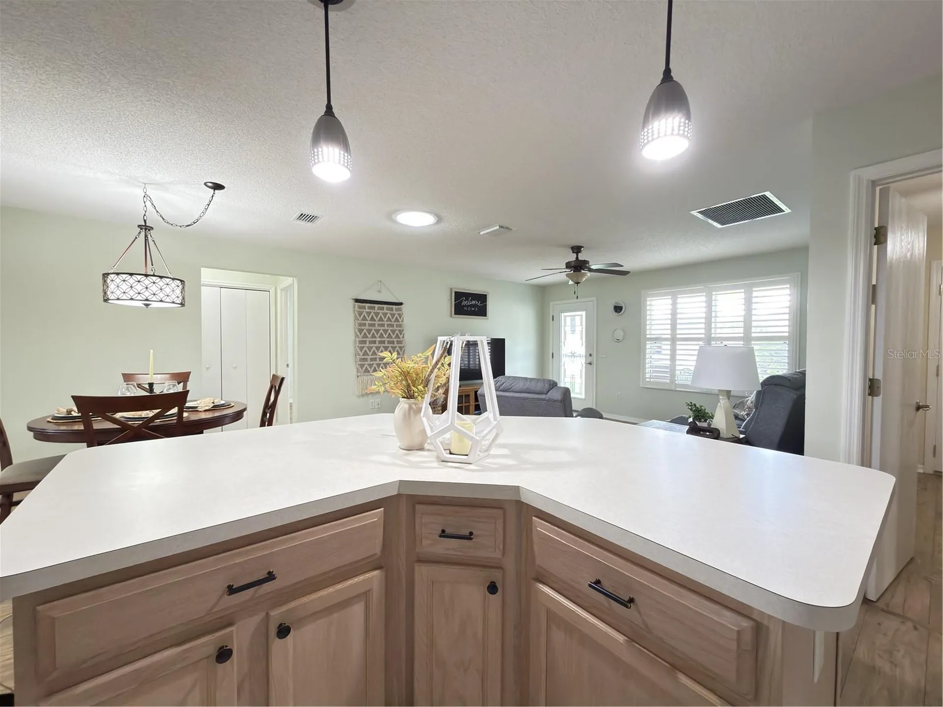 16899 SE 96th Chapelwood Circle The Villages FL 32162