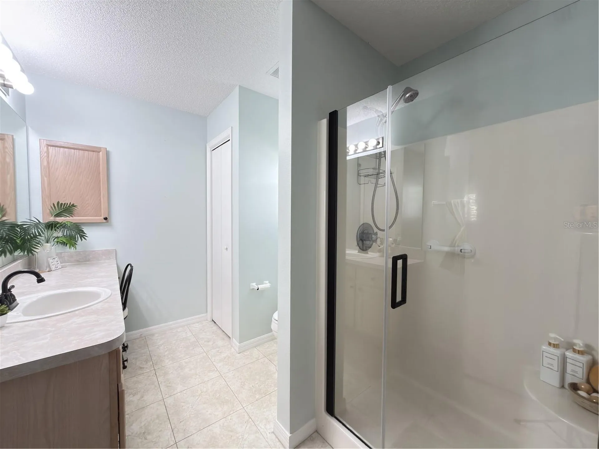 16899 SE 96th Chapelwood Circle The Villages FL 32162