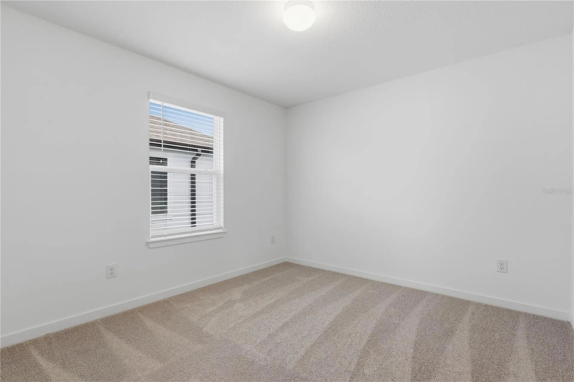 33444 Binding Ties Lane Wesley Chapel FL 33545