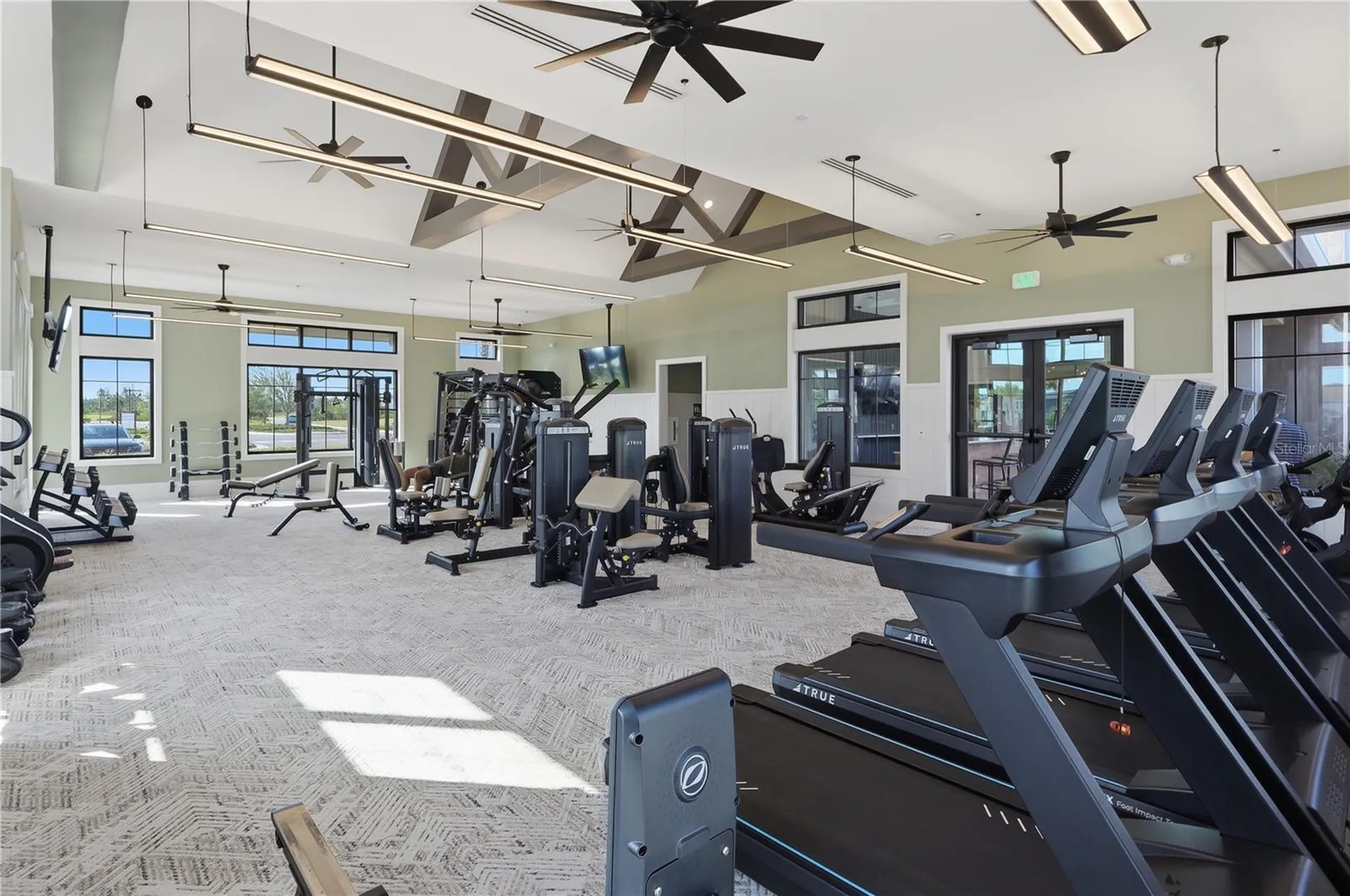 33444 Binding Ties Lane Wesley Chapel FL 33545