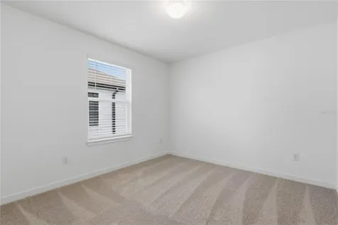 33444 Binding Ties Lane Wesley Chapel FL 33545