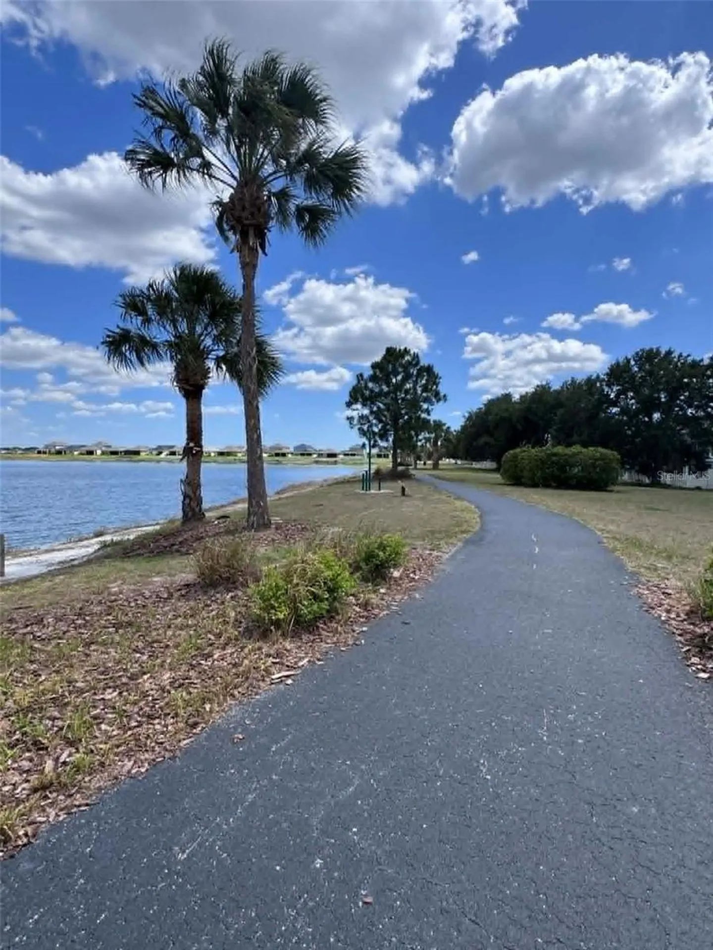 11537 Crestlake Village Drive Riverview FL 33569