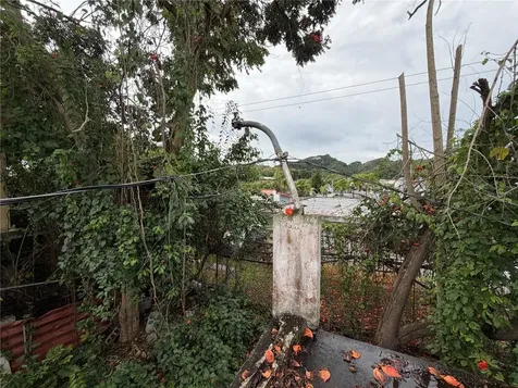 Vega Alta PR 00692