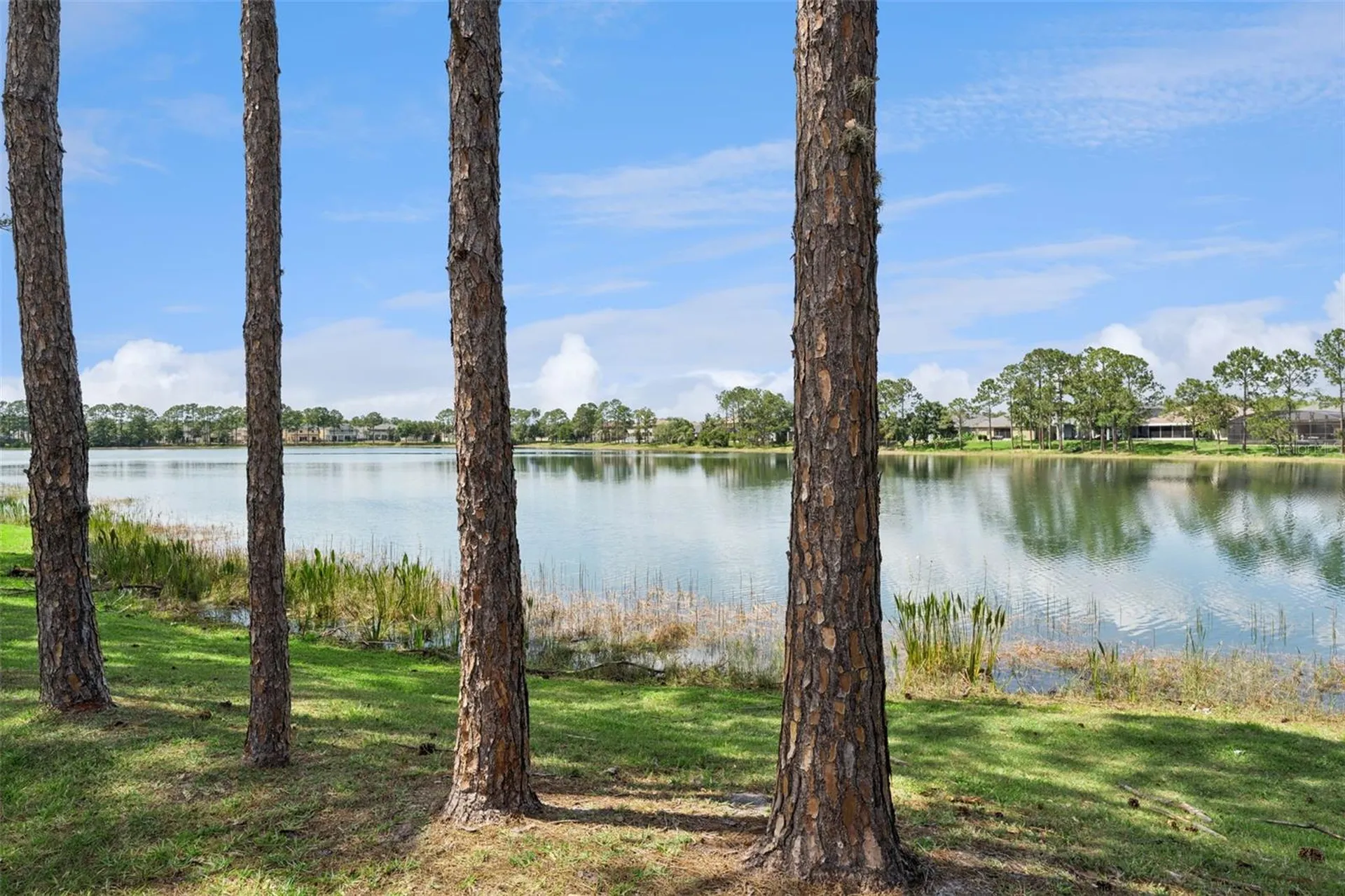 14868 Cableshire Way Orlando FL 32824